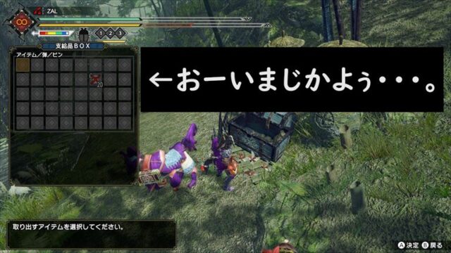 Mhrise解説 許せる マルチプレイで見かけるバッドマナー ざるたんの 非 日常